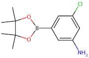 3-Chloro-5-(4,4,5,5-tetramethyl-1,3,2-dioxaborolan-2-yl)aniline