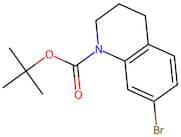 tert-Butyl 7-bromo-3,4-dihydroquinoline-1(2H)-carboxylate