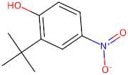 2-(tert-Butyl)-4-nitrophenol