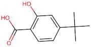 4-tert-Butyl-2-hydroxybenzoic acid
