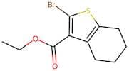 Ethyl 2-bromo-4,5,6,7-tetrahydrobenzo[b]thiophene-3-carboxylate