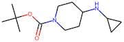 4-(Cyclopropylamino)piperidine, N1-BOC protected