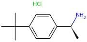 (S)-1-(4-(tert-butyl)phenyl)ethan-1-amine hcl