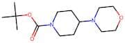 Tert-butyl 4-morpholinopiperidine-1-carboxylate