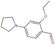 2-Ethoxy-4-(1-pyrrolidinyl)benzaldehyde