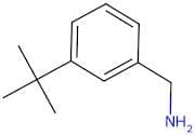 (3-(Tert-butyl)phenyl)methanamine