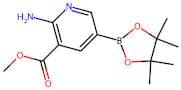 Methyl 2-amino-5-(4,4,5,5-tetramethyl-1,3,2-dioxaborolan-2-yl)nicotinate