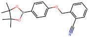2-((4-(4,4,5,5-Tetramethyl-1,3,2-dioxaborolan-2-yl)phenoxy)methyl)benzonitrile