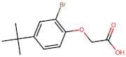 2-(2-Bromo-4-(tert-butyl)phenoxy)acetic acid