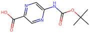 5-((tert-Butoxycarbonyl)amino)pyrazine-2-carboxylic acid