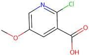 2-Chloro-5-methoxynicotinic acid