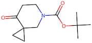 tert-Butyl 8-oxo-5-azaspiro[2.5]octane-5-carboxylate