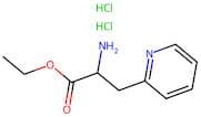Ethyl 2-amino-3-(pyridin-2-yl)propanoate dihydrochloride