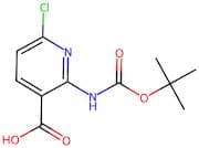 2-Boc-amino-6-chloro-nicotinic acid