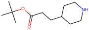 tert-Butyl 3-(piperidin-4-yl)propanoate