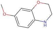 7-Methoxy-3,4-dihydro-2H-benzo[1,4]oxazine