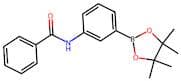 N-[3-(4,4,5,5-Tetramethyl-1,3,2-dioxaborolan-2-yl)phenyl]-Benzamide