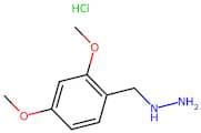 [(2,4-dimethoxyphenyl)methyl]hydrazine hydrochloride