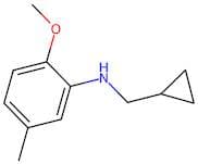 n-(Cyclopropylmethyl)-2-methoxy-5-methylaniline