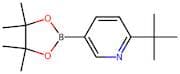 2-(Tert-butyl)-5-(4,4,5,5-tetramethyl-1,3,2-dioxaborolan-2-yl)pyridine