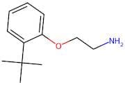 2-(2-(Tert-butyl)phenoxy)ethan-1-amine