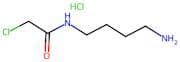 n-(4-Aminobutyl)-2-chloroacetamide hydrochloride