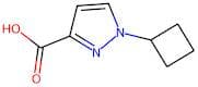 1-Cyclobutyl-1H-pyrazole-3-carboxylic acid