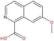 7-Methoxyisoquinoline-1-carboxylic acid