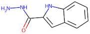1H-Indole-2-carbohydrazide