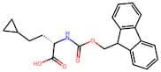 (S)-2-((((9H-Fluoren-9-yl)methoxy)carbonyl)amino)-4-cyclopropylbutanoic acid