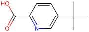 5-(tert-Butyl)picolinic acid