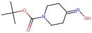 tert-Butyl 4-hydroxyiminopiperidine-1-carboxylate