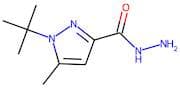 1-tert-Butyl-5-methyl-1H-pyrazole-3-carbohydrazide 97%