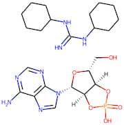 Adenosine-2',3'-cyclic phosphate, dicyclohexyl guanidinium salt