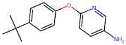 6-[4-(tert-Butyl)phenoxy]pyridin-3-amine