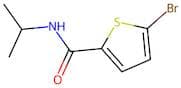 5-Bromo-N-isopropylthiophene-2-carboxamide
