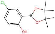 4-Chloro-2-(4,4,5,5-tetramethyl-1,3,2-dioxaborolan-2-yl)phenol