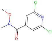 2,6-Dichloro-N-methoxy-N-methylisonicotinamide