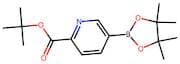 tert-Butyl 5-(4,4,5,5-tetramethyl-1,3,2-dioxaborolan-2-yl)picolinate