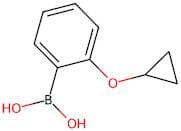 (2-Cyclopropoxyphenyl)boronic acid