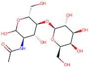 N-Acetyllactosamine