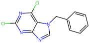 7-benZyl-2,6-dichloro-7h-purine