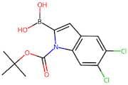 (1-(tert-Butoxycarbonyl)-5,6-dichloro-1H-indol-2-yl)boronic acid