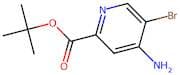 tert-Butyl 4-amino-5-bromopyridine-2-carboxylate