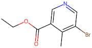 Ethyl 5-bromo-4-methylnicotinate