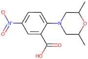 2-(2,6-Dimethylmorpholin-4-yl)-5-nitrobenzoic acid