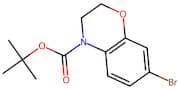 tert-Butyl 7-bromo-2H-benzo[b][1,4]oxazine-4(3H)-carboxylate