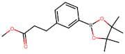 Methyl 3-(3-(4,4,5,5-tetramethyl-1,3,2-dioxaborolan-2-yl)phenyl)propanoate