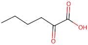 2-Oxohexanoic acid