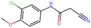 N-(3-Chloro-4-methoxyphenyl)-2-cyanoacetamide